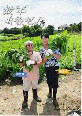 声音的旅行 综艺在线观看